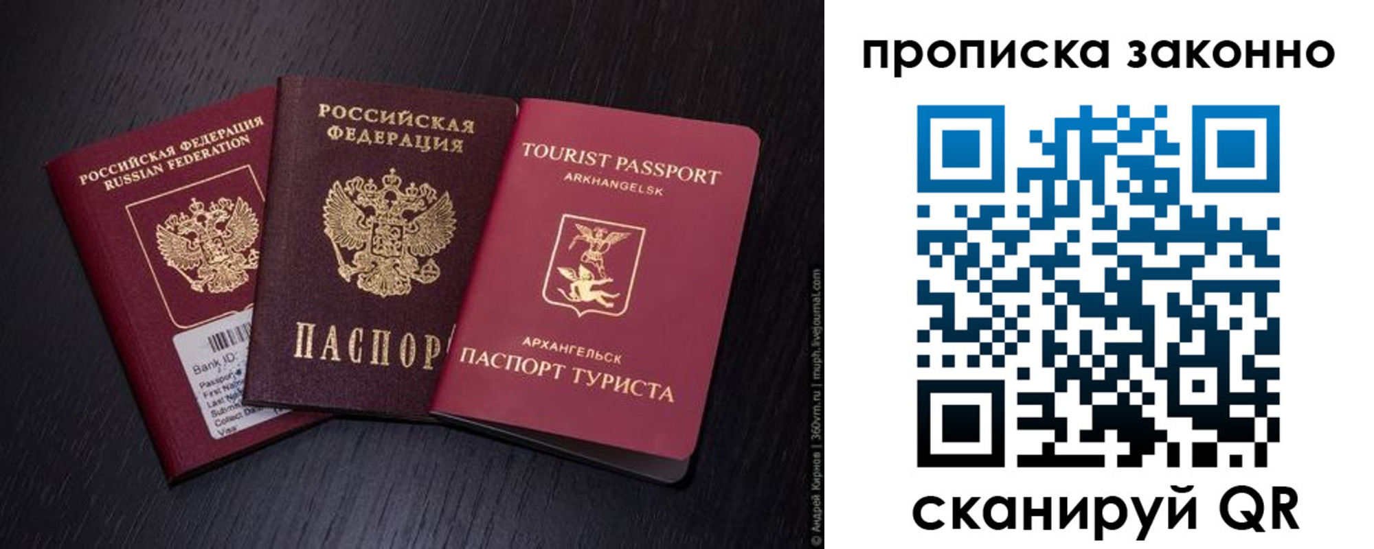 прописка штамп в Брянской области